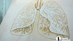 «Шанс заразиться от человека с пневмонией и менингитом стремится к нулю»: главный пульмонолог — о важности вакцинации челябинцев