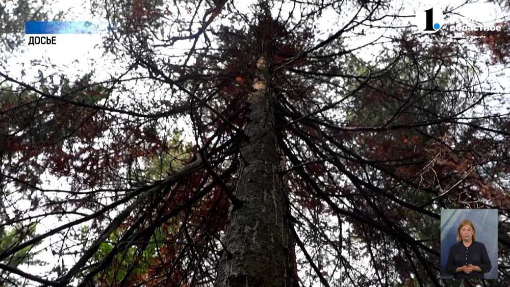 В Нязепетровском районе поселился опасный гурман