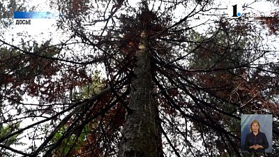 В Нязепетровском районе поселился опасный гурман