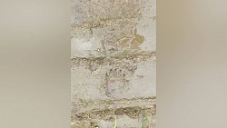 Следы медведя заметили возле туристической тропы на Зигальге