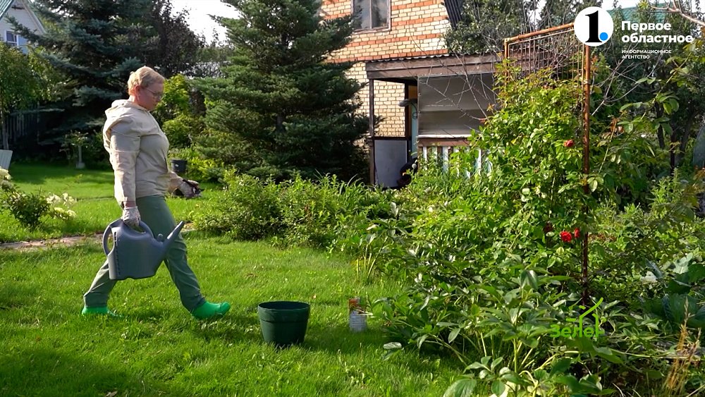 Август — почти осенний месяц