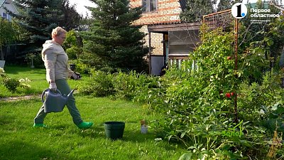 Август — почти осенний месяц