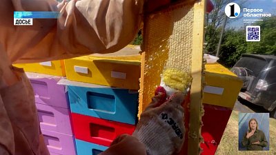 Учимся отличать натуральный мёд от «‎липового»‎