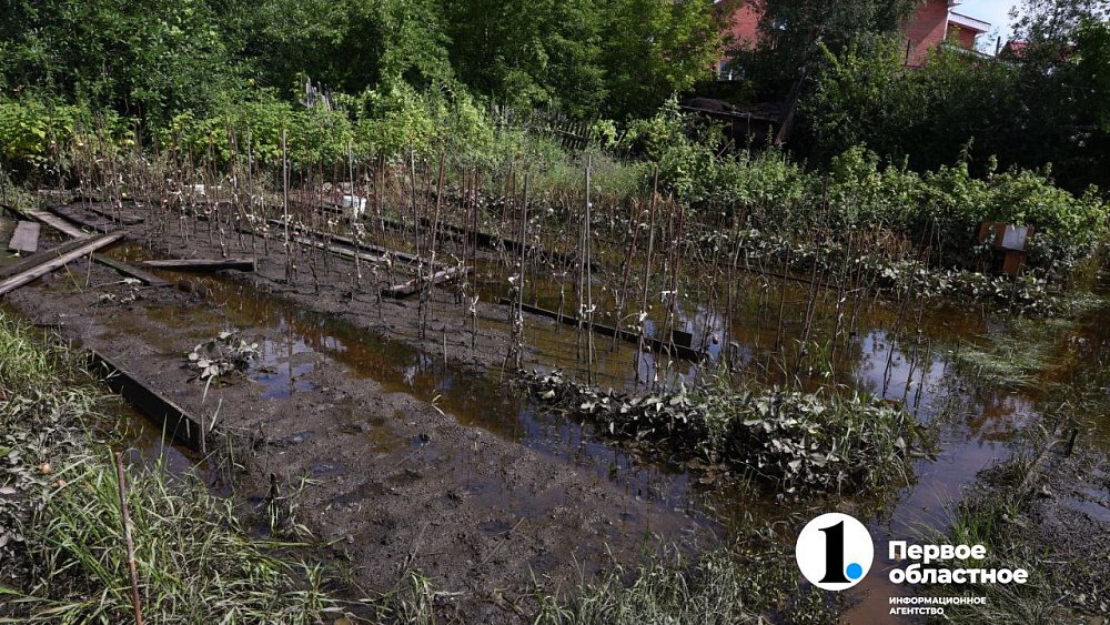 Пострадавшим от подтопления челябинцам выплатят более 11 миллионов рублей