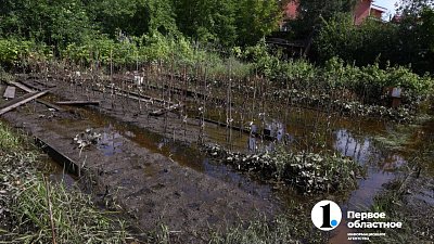 Пострадавшим от подтопления челябинцам выплатят более 11 миллионов рублей