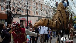 В центре Челябинска прошел фантастический караван с верблюдами и пегасом