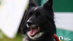 Ярмарка «На рудниках» в поселке под Кыштымом собрала сотню мастеров со всей страны