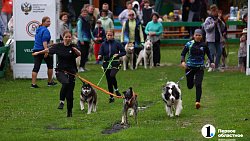 Ярмарка «На рудниках» в поселке под Кыштымом собрала сотню мастеров со всей страны