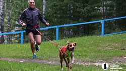 Ярмарка «На рудниках» в поселке под Кыштымом собрала сотню мастеров со всей страны