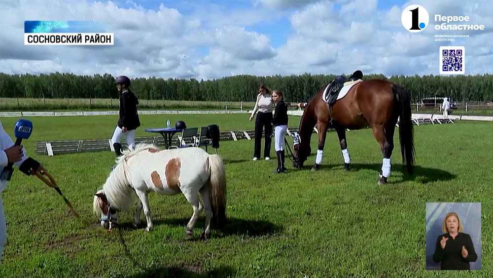 В регионе прошла конная выставка