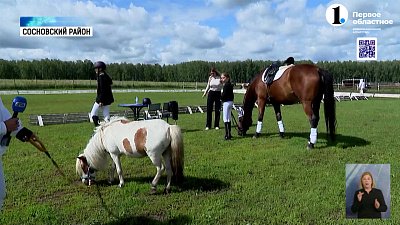 В регионе прошла конная выставка