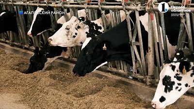 Курс Текслера: развитие сельского хозяйства и южноуральской глубинки