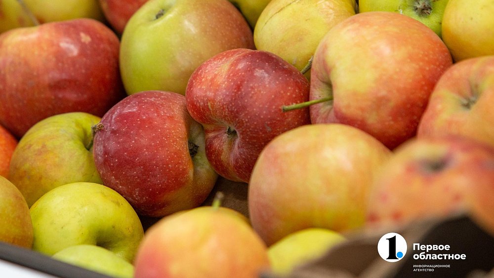 На дегустацию яблочного варенья по старинным рецептам пригласили челябинцев в сквер