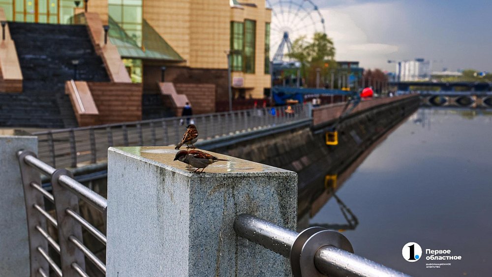 Утренний туман, дожди и похолодание до +12°C: погода в Челябинской области 16 августа