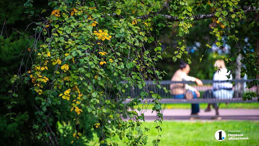 В Челябинской области местами похолодает до +12 градусов 16 августа