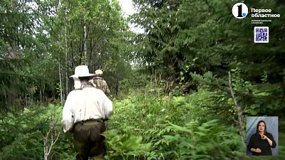 Пчеловоды из Нязепетровска добывают дикий мед