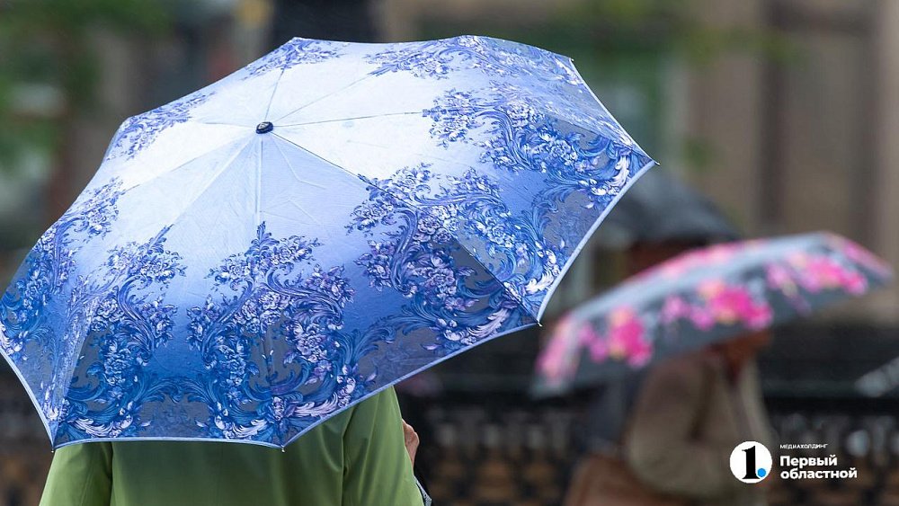 В выходные в Челябинской области сохранится дождливая погода