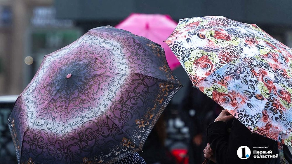 Прохладно и дождливо будет в Челябинской области 17 августа