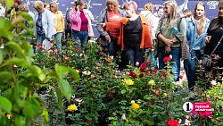 В Челябинске прошла XXI выставка цветов и плодов