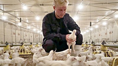 Челябинские студенты трудятся в отрядах в «Ситно» и «Мираторге»