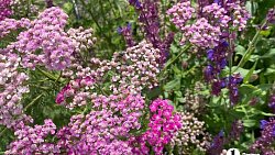 Магнитогорск — город колец, контрастов и людей с сияющей кожей