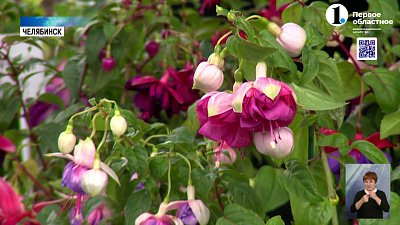 В Челябинске прошла традиционная выставка цветов и плодов