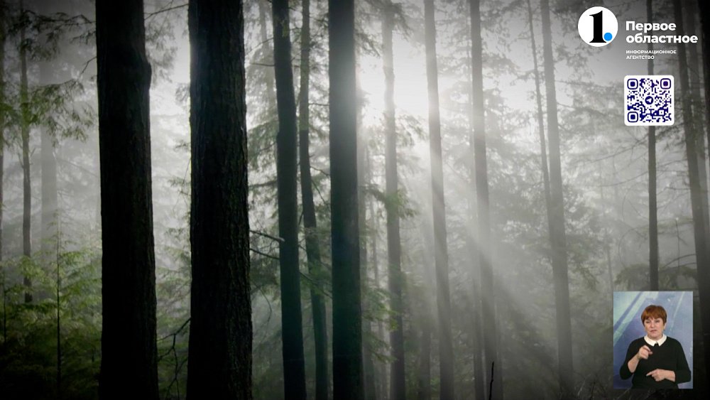 В Усть-Катаве спасатели помогли пенсионерке