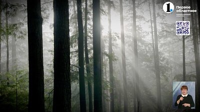 В Усть-Катаве спасатели помогли пенсионерке