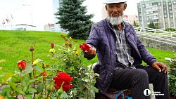 В Челябинске в 30‑й раз проходит агропромышленная выставка‑ярмарка «Агро»