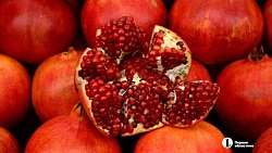 В Челябинске в 30‑й раз проходит агропромышленная выставка‑ярмарка «Агро»