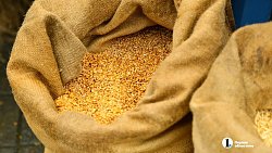 В Челябинске в 30‑й раз проходит агропромышленная выставка‑ярмарка «Агро»