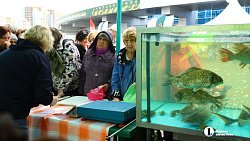 В Челябинске в 30‑й раз проходит агропромышленная выставка‑ярмарка «Агро»