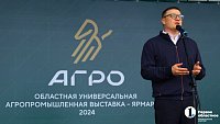 Алексей Текслер объявил об открытии репродуктора для отечественного кросса кур