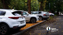 Вот и осень подошла на мягких лапах… Челябинск охватывает осеннее настроение