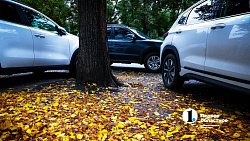 Вот и осень подошла на мягких лапах… Челябинск охватывает осеннее настроение