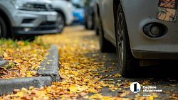 Вот и осень подошла на мягких лапах… Челябинск охватывает осеннее настроение