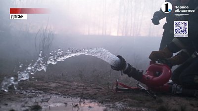 Челябинская и Костанайская области провели трансграничные учения