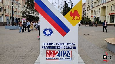 Дистанционно на выборах губернатора Челябинской области проголосуют более 95 тысяч человек
