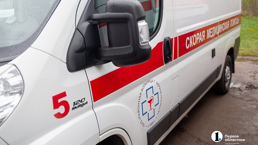 Ядовитая змея покусала вожатых в лагере в Челябинской области