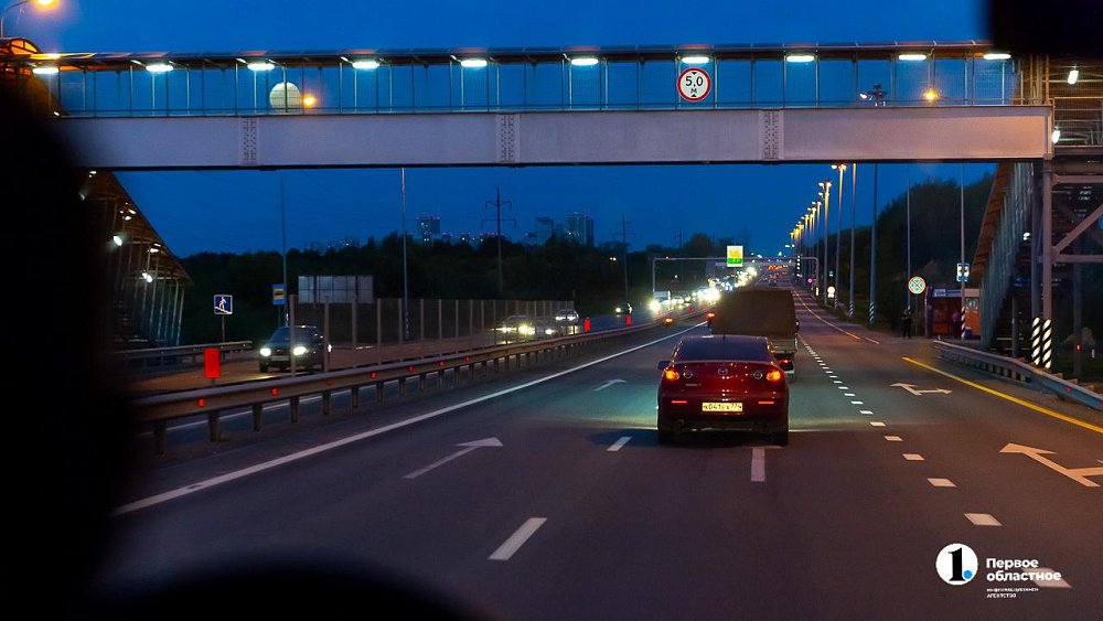 Водителей предупредили о лосях на трассах в Челябинской области