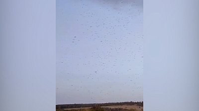 Тучи комаров напугали жителей села в Уйском районе