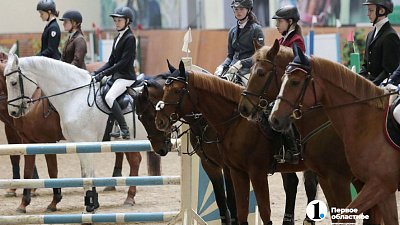 В Троицк на соревнования конников съедутся спортсмены из разных регионов России