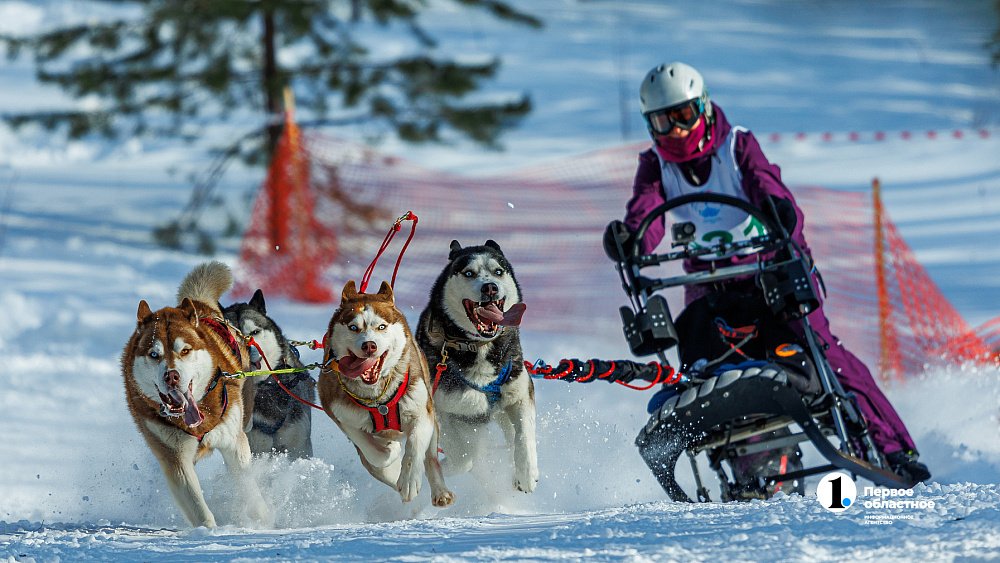 Раскрываем три причины посетить фотовыставку «Призма 15/90»