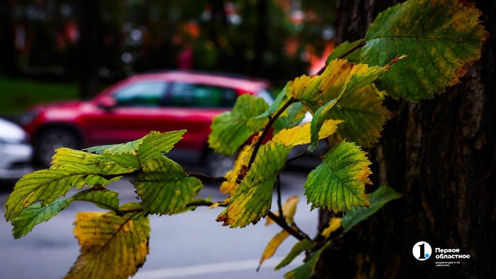 «Молодое» бабье лето пришло в Челябинскую область