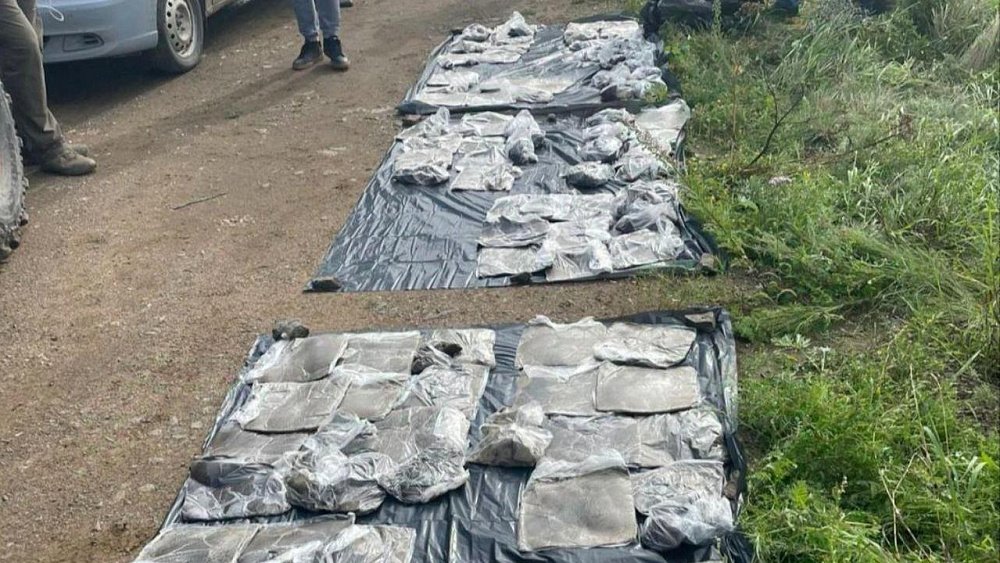 В Челябинской области изъято 43 кг контрабандного гашиша