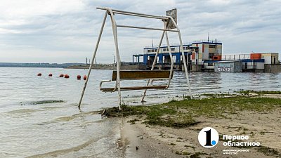 Пострадавшему от паводка бизнесу Челябинской области направят 20 млн рублей