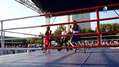 Миасс отметил Международный день бокса