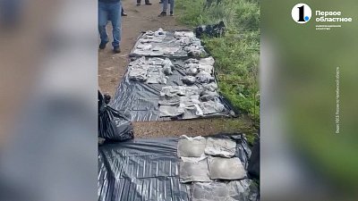 Сотрудники ФСБ задержали крупных наркокурьеров