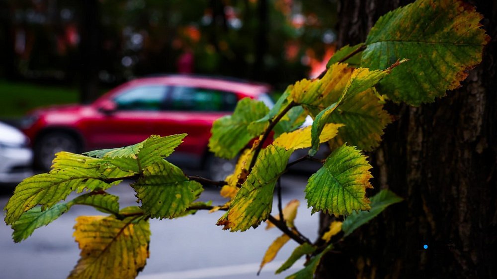 В Челябинской области ожидается теплая погода и небольшие дожди