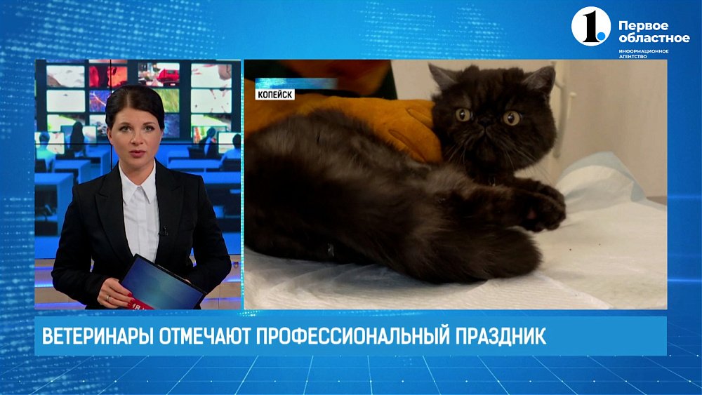 Ветеринары отмечают профессиональный праздник